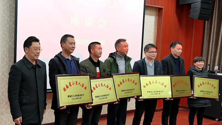 喜大普奔！炬神電子被評為湖南省“小巨人”企業